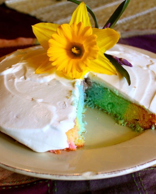 Rainbow Cake
