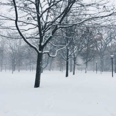 Staying Healthy During the Winter