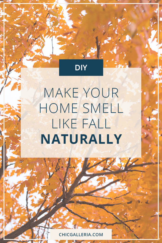 Potpourri-Making your home smell like fall | Air freshener DIY | Natural air freshener | Fall air freshener DIY | Fall scents for home